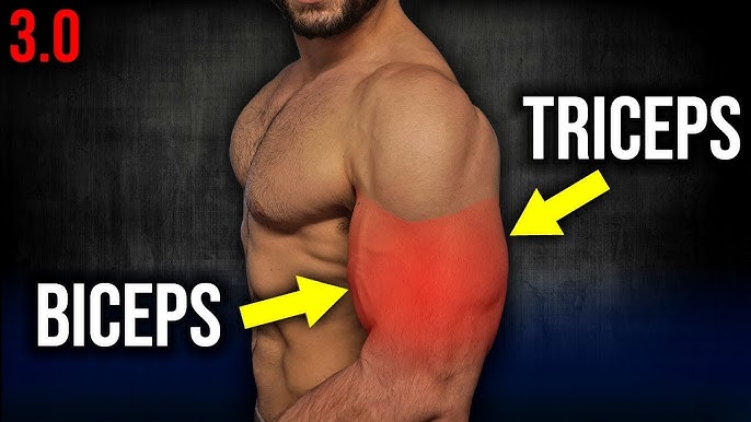 triceps vs biceps